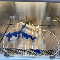 Nuaire LabGard ES Class II Type A2 4' Biological Safety Cabinet image 3